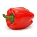 Перец сладкий красный