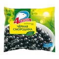 Смородина чёрная 4 сезона